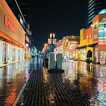 Parthenon Avenue_image3