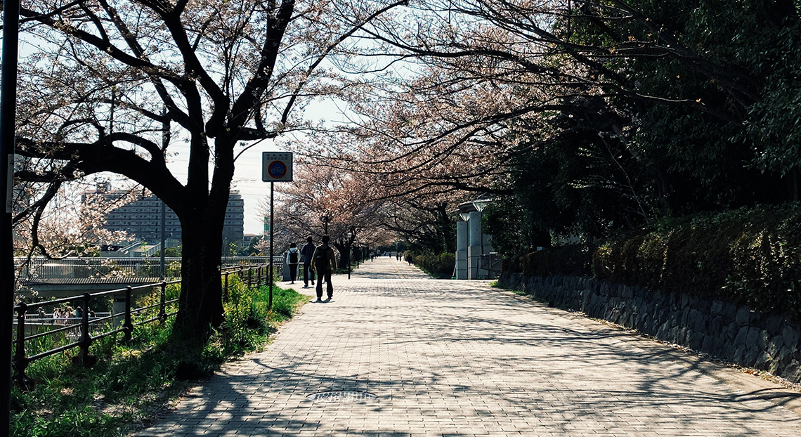 Tokyo Metropolitan University 