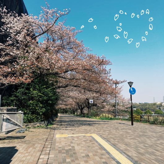 Tokyo Metropolitan University1