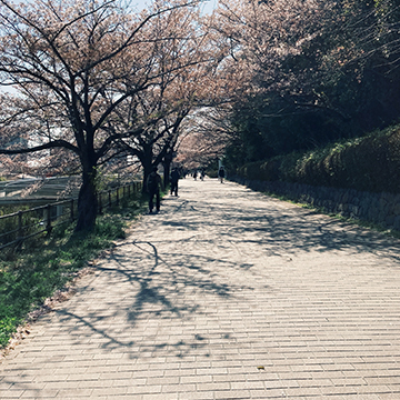 Tokyo Metropolitan University2