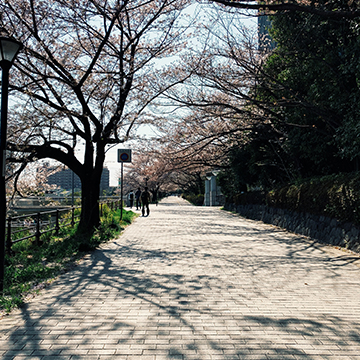 Tokyo Metropolitan University3