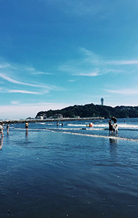Katase Higashihama Beach