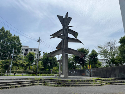 広場の樹の写真